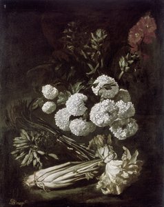 Nature morte de fleurs et légumes, 17ème siècle